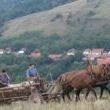 Čeští krajané v Rumunsku jedou na pole
