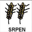 SRPEN